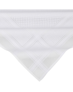 Projeh shmagh al sami red